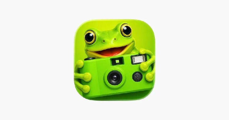 Disposable Camera DisCam 2000s一次性胶片滤镜相机#本体限免
