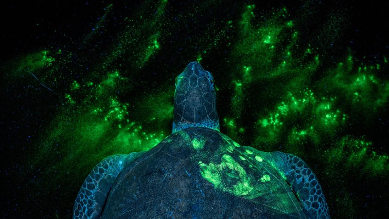 TIME's Top 100 Photos of 2025