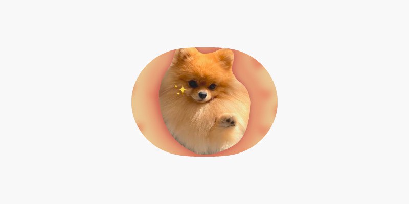 ‎Cute Pom Meme